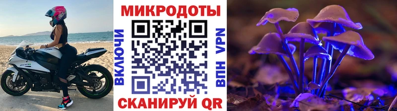 Псилоцибиновые грибы MAGIC MUSHROOMS  закладка  блэк спрут онион  Переславль-Залесский 